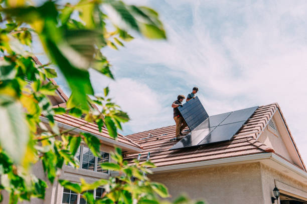 Best Roof Moss and Algae Removal  in Parkville, MD